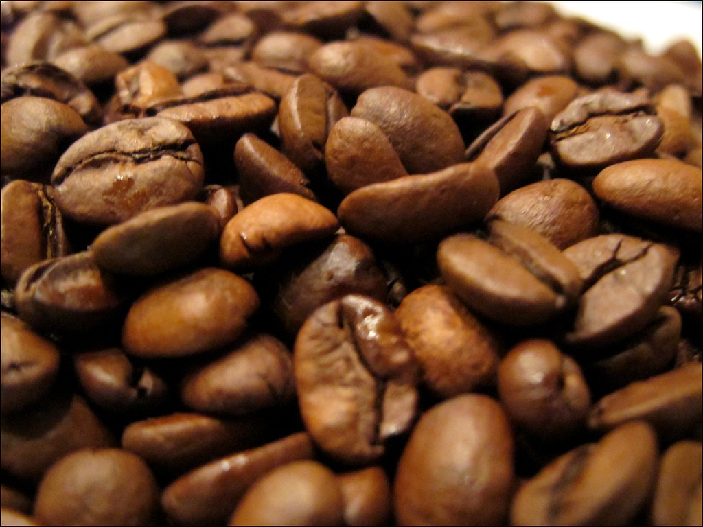 Comptoir de dégustation de café de la brûlerie